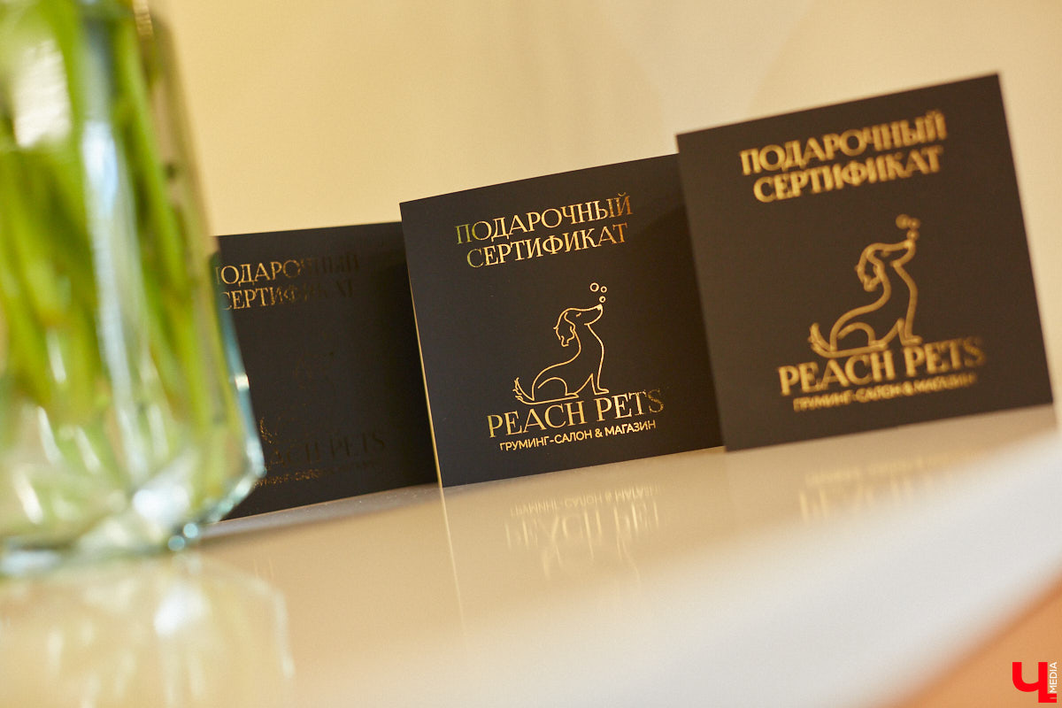 Спа, маникюр, модельная стрижка и укладка — теперь все это доступно не только человеку. Владимирский бизнесмен Максим Бочагов решил разбавить бьюти-сферу новым пространством красоты для животных. Какие проблемы решают профессиональные грумеры в атмосфере эстетики и комфорта, своими глазами увидел «Ключ-Медиа».