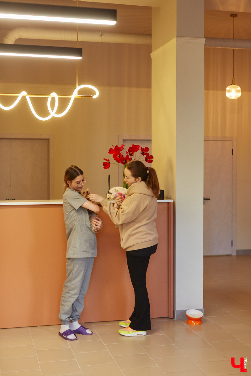 Спа, маникюр, модельная стрижка и укладка — теперь все это доступно не только человеку. Владимирский бизнесмен Максим Бочагов решил разбавить бьюти-сферу новым пространством красоты для животных. Какие проблемы решают профессиональные грумеры в атмосфере эстетики и комфорта, своими глазами увидел «Ключ-Медиа».