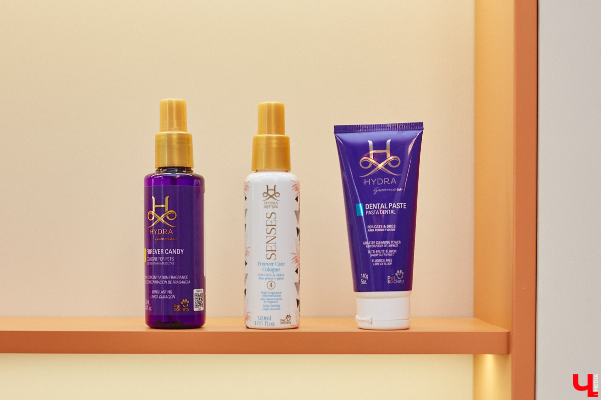 Спа, маникюр, модельная стрижка и укладка — теперь все это доступно не только человеку. Владимирский бизнесмен Максим Бочагов решил разбавить бьюти-сферу новым пространством красоты для животных. Какие проблемы решают профессиональные грумеры в атмосфере эстетики и комфорта, своими глазами увидел «Ключ-Медиа».