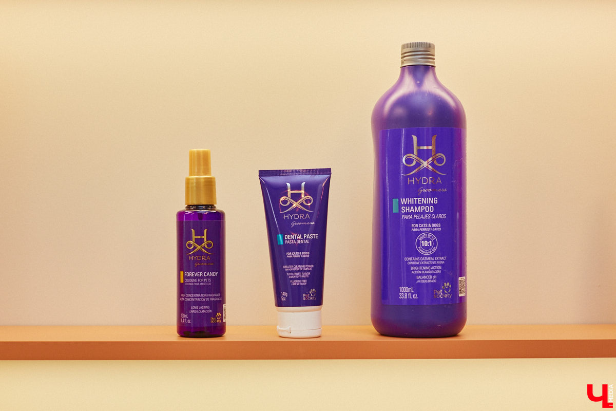 Спа, маникюр, модельная стрижка и укладка — теперь все это доступно не только человеку. Владимирский бизнесмен Максим Бочагов решил разбавить бьюти-сферу новым пространством красоты для животных. Какие проблемы решают профессиональные грумеры в атмосфере эстетики и комфорта, своими глазами увидел «Ключ-Медиа».