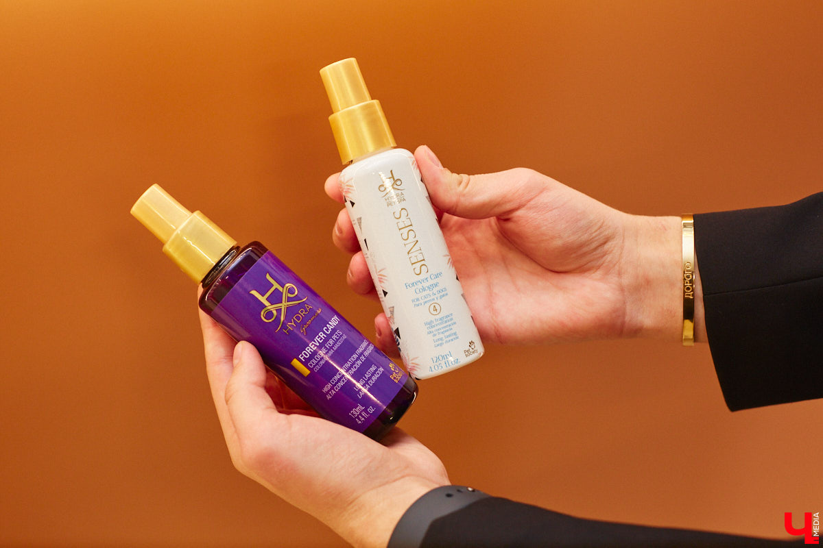 Спа, маникюр, модельная стрижка и укладка — теперь все это доступно не только человеку. Владимирский бизнесмен Максим Бочагов решил разбавить бьюти-сферу новым пространством красоты для животных. Какие проблемы решают профессиональные грумеры в атмосфере эстетики и комфорта, своими глазами увидел «Ключ-Медиа».