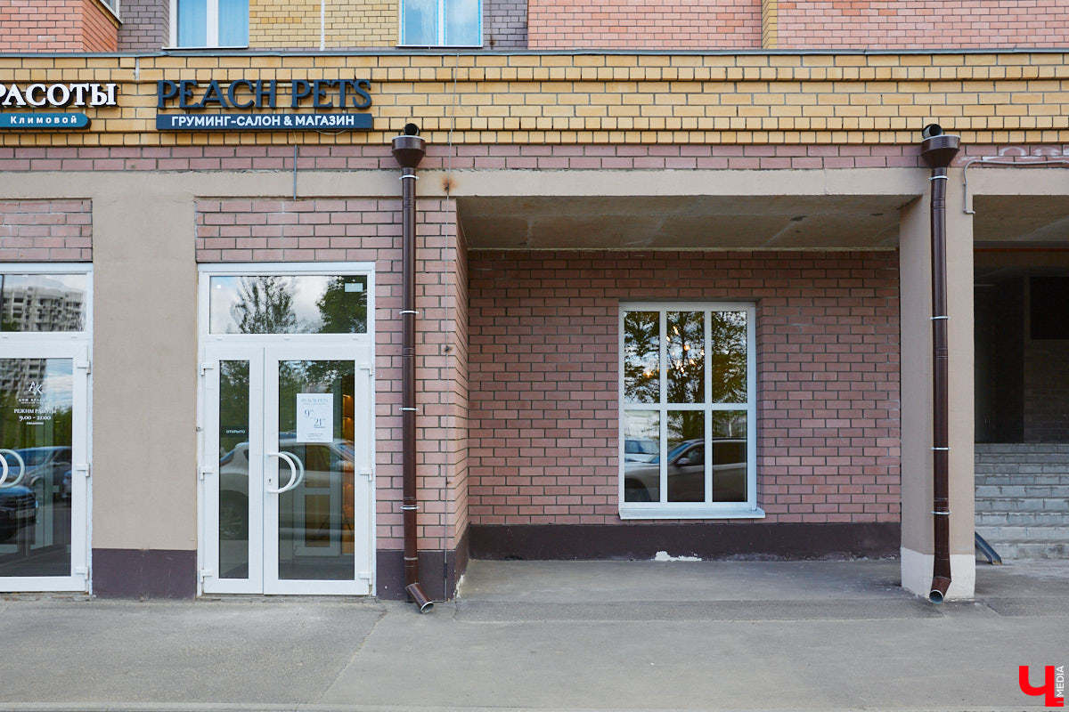 Спа, маникюр, модельная стрижка и укладка — теперь все это доступно не только человеку. Владимирский бизнесмен Максим Бочагов решил разбавить бьюти-сферу новым пространством красоты для животных. Какие проблемы решают профессиональные грумеры в атмосфере эстетики и комфорта, своими глазами увидел «Ключ-Медиа».