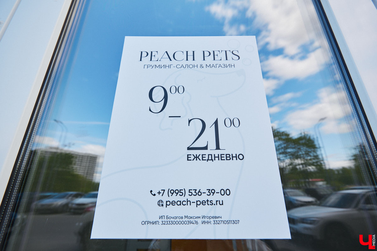 Спа, маникюр, модельная стрижка и укладка — теперь все это доступно не только человеку. Владимирский бизнесмен Максим Бочагов решил разбавить бьюти-сферу новым пространством красоты для животных. Какие проблемы решают профессиональные грумеры в атмосфере эстетики и комфорта, своими глазами увидел «Ключ-Медиа».