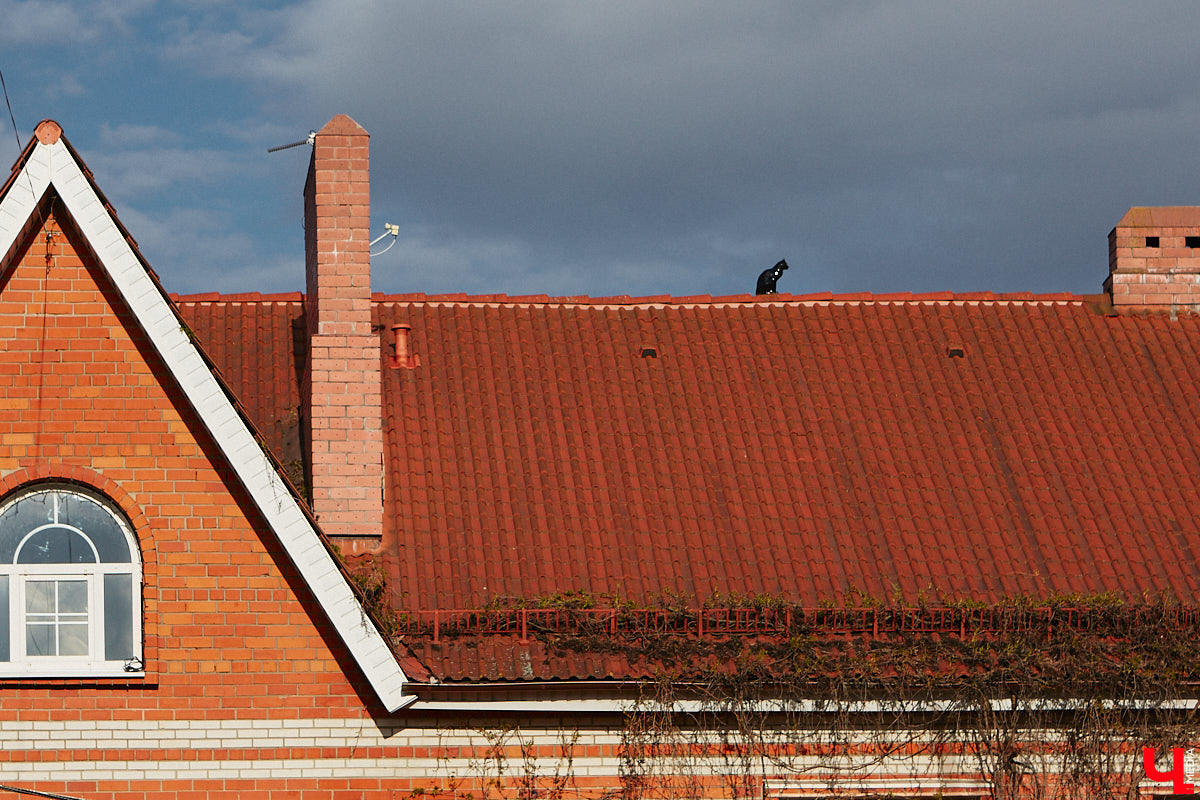 Архитектурные детали, как важные специи в блюде, необходимы для создания целостной композиции. Они формируют городскую идентичность. Многие элементы находятся на уровне наших глаз, но некоторые прячутся выше. Сегодня «Ключ-Медиа» решил осмотреть владимирские крыши, которые, как оказалось, способны удивлять.