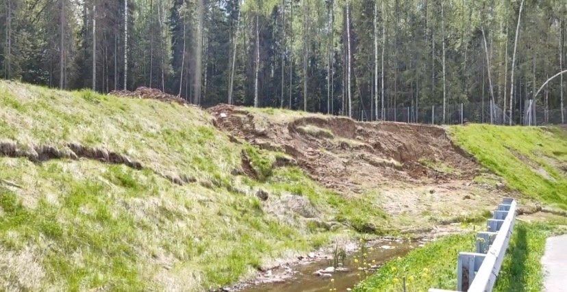 Перила на путепроводе в Загородный парк настолько прогнили, что могут не выдержать веса облокотившегося на них человека и рухнуть вниз. В мэрии о проблеме знают и обещают ее решить. А вот что ждет проблемный участок скоростной магистрали на въезде в областной центр — пока неизвестно.