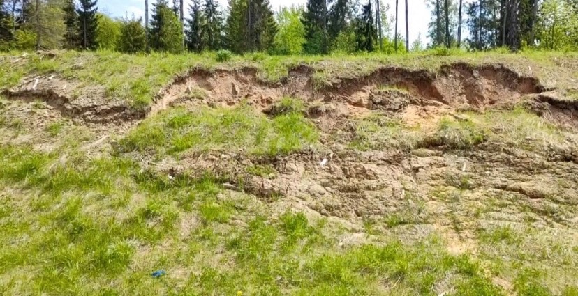 Перила на путепроводе в Загородный парк настолько прогнили, что могут не выдержать веса облокотившегося на них человека и рухнуть вниз. В мэрии о проблеме знают и обещают ее решить. А вот что ждет проблемный участок скоростной магистрали на въезде в областной центр — пока неизвестно.