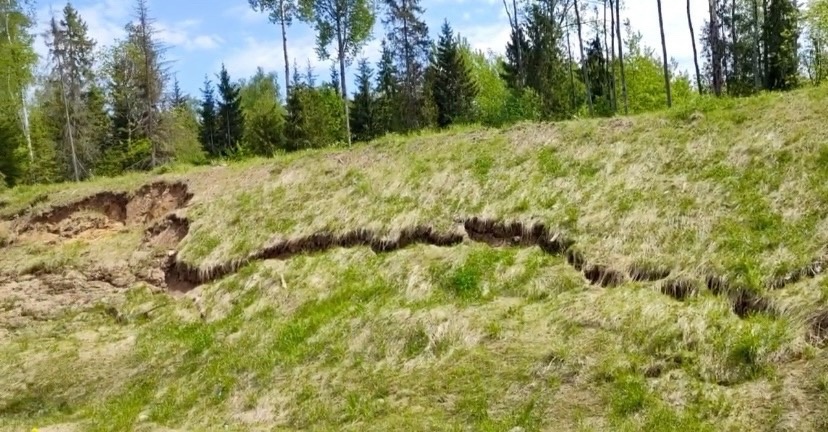Перила на путепроводе в Загородный парк настолько прогнили, что могут не выдержать веса облокотившегося на них человека и рухнуть вниз. В мэрии о проблеме знают и обещают ее решить. А вот что ждет проблемный участок скоростной магистрали на въезде в областной центр — пока неизвестно.