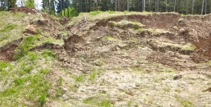 Перила на путепроводе в Загородный парк настолько прогнили, что могут не выдержать веса облокотившегося на них человека и рухнуть вниз. В мэрии о проблеме знают и обещают ее решить. А вот что ждет проблемный участок скоростной магистрали на въезде в областной центр — пока неизвестно.