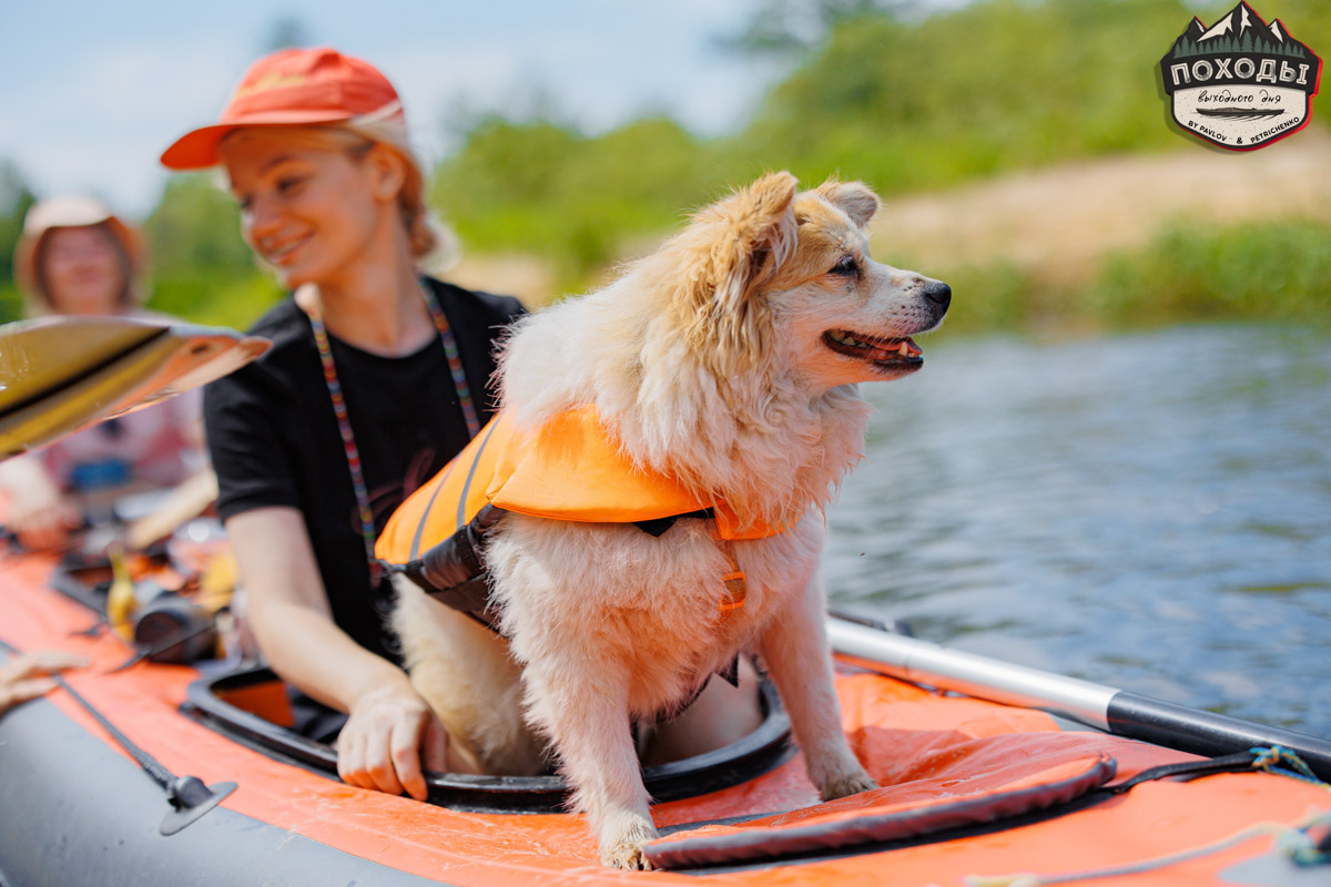 Не зря говорят: собака — лучший компаньон. С ней даже на байдарке можно сплавиться. Проверено! Убедились в этом в прошлое воскресенье владельцы мохнатых штурманов, отправившись с ними в путешествие по реке Судогде. Массу ярких фотографий и подробности милейшего события ищите в статье «Ключ-Медиа».