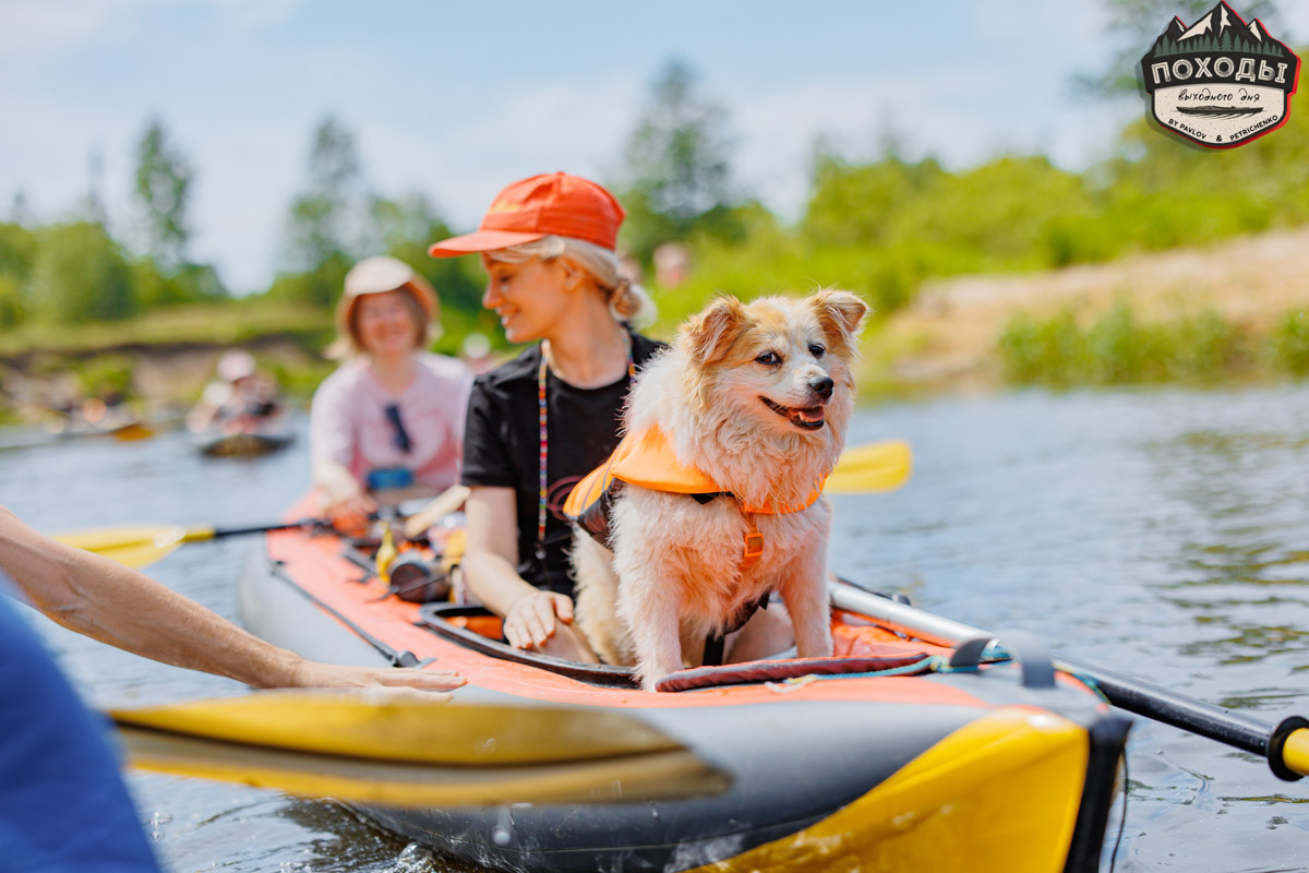 Не зря говорят: собака — лучший компаньон. С ней даже на байдарке можно сплавиться. Проверено! Убедились в этом в прошлое воскресенье владельцы мохнатых штурманов, отправившись с ними в путешествие по реке Судогде. Массу ярких фотографий и подробности милейшего события ищите в статье «Ключ-Медиа».