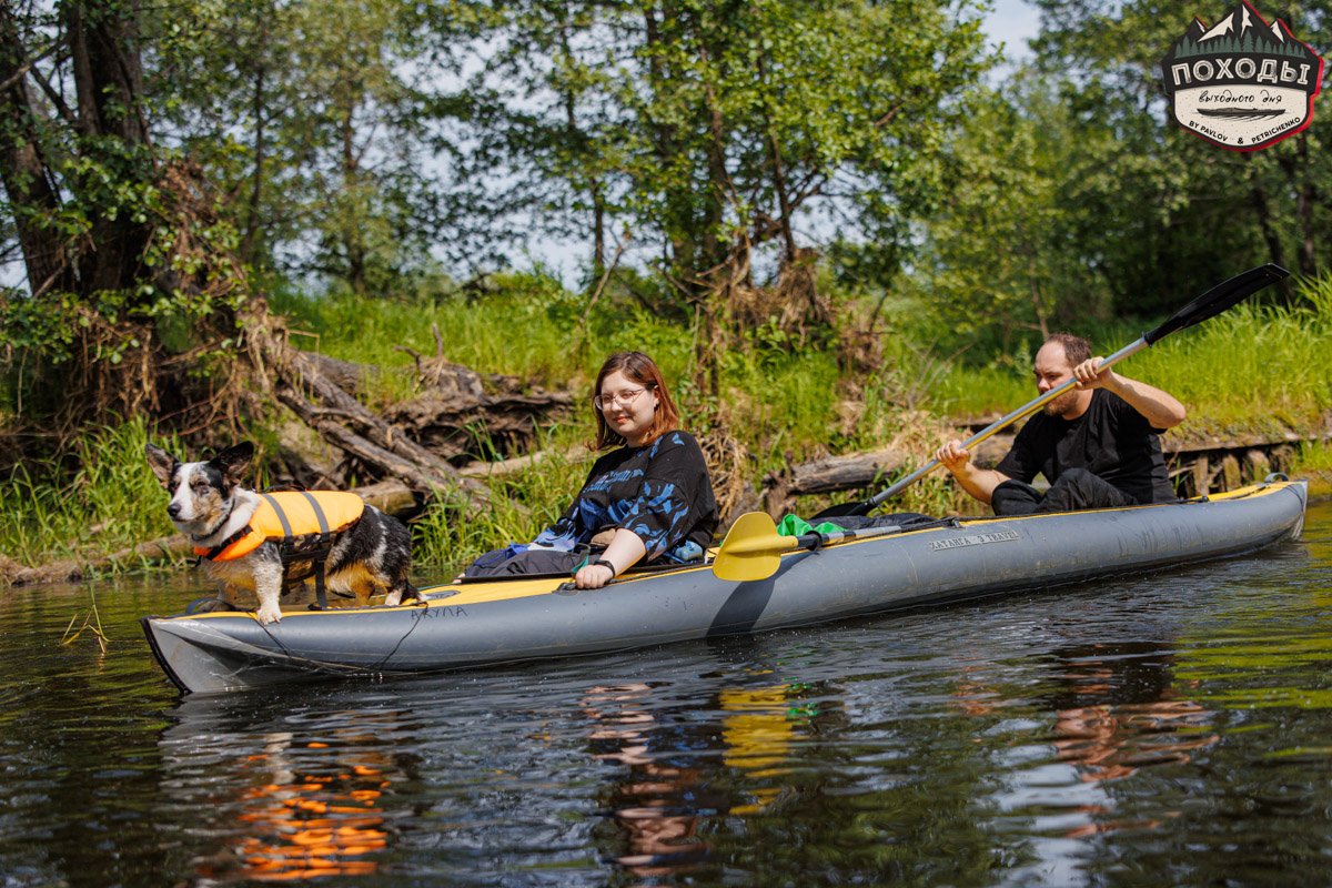 Не зря говорят: собака — лучший компаньон. С ней даже на байдарке можно сплавиться. Проверено! Убедились в этом в прошлое воскресенье владельцы мохнатых штурманов, отправившись с ними в путешествие по реке Судогде. Массу ярких фотографий и подробности милейшего события ищите в статье «Ключ-Медиа».