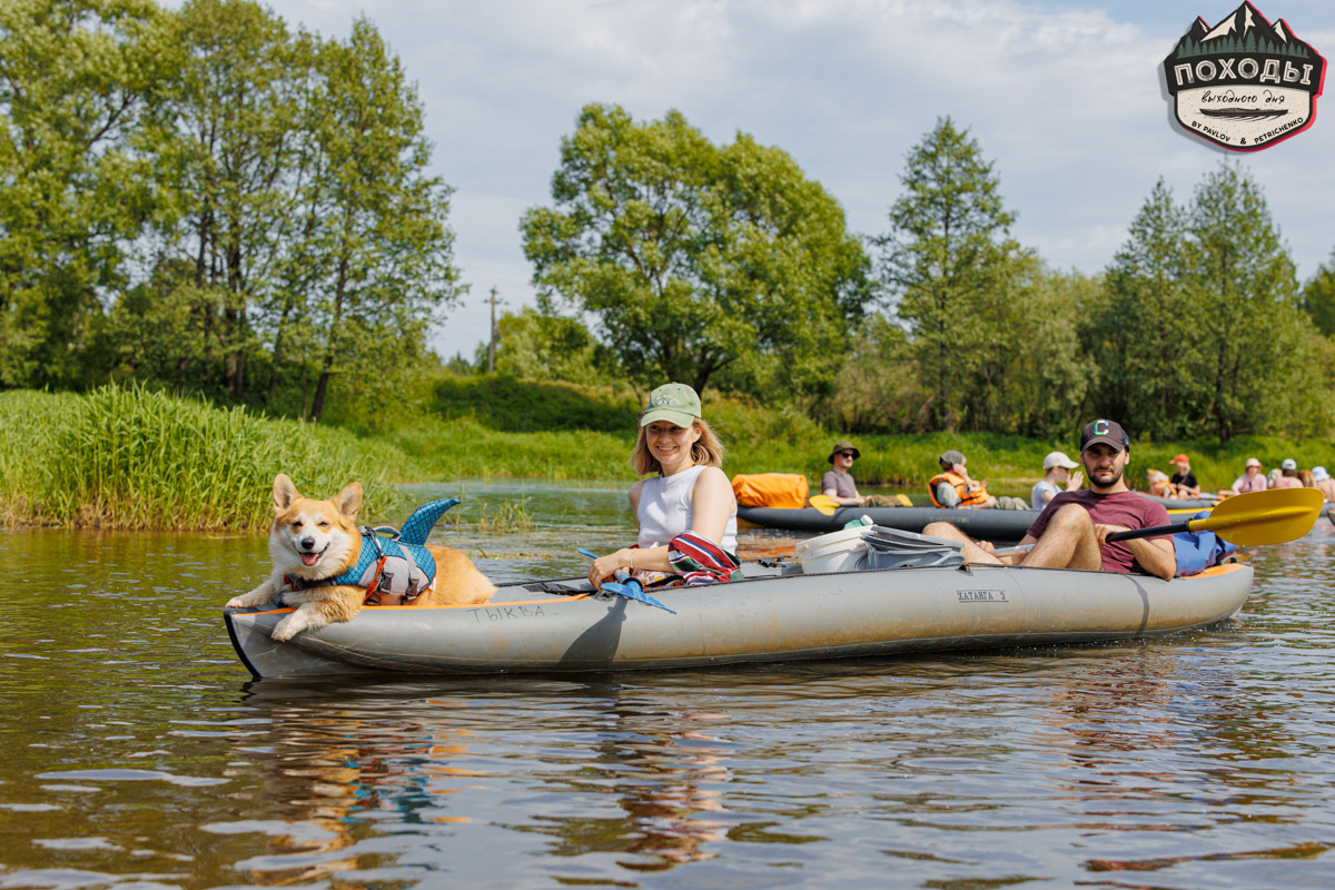 Не зря говорят: собака — лучший компаньон. С ней даже на байдарке можно сплавиться. Проверено! Убедились в этом в прошлое воскресенье владельцы мохнатых штурманов, отправившись с ними в путешествие по реке Судогде. Массу ярких фотографий и подробности милейшего события ищите в статье «Ключ-Медиа».