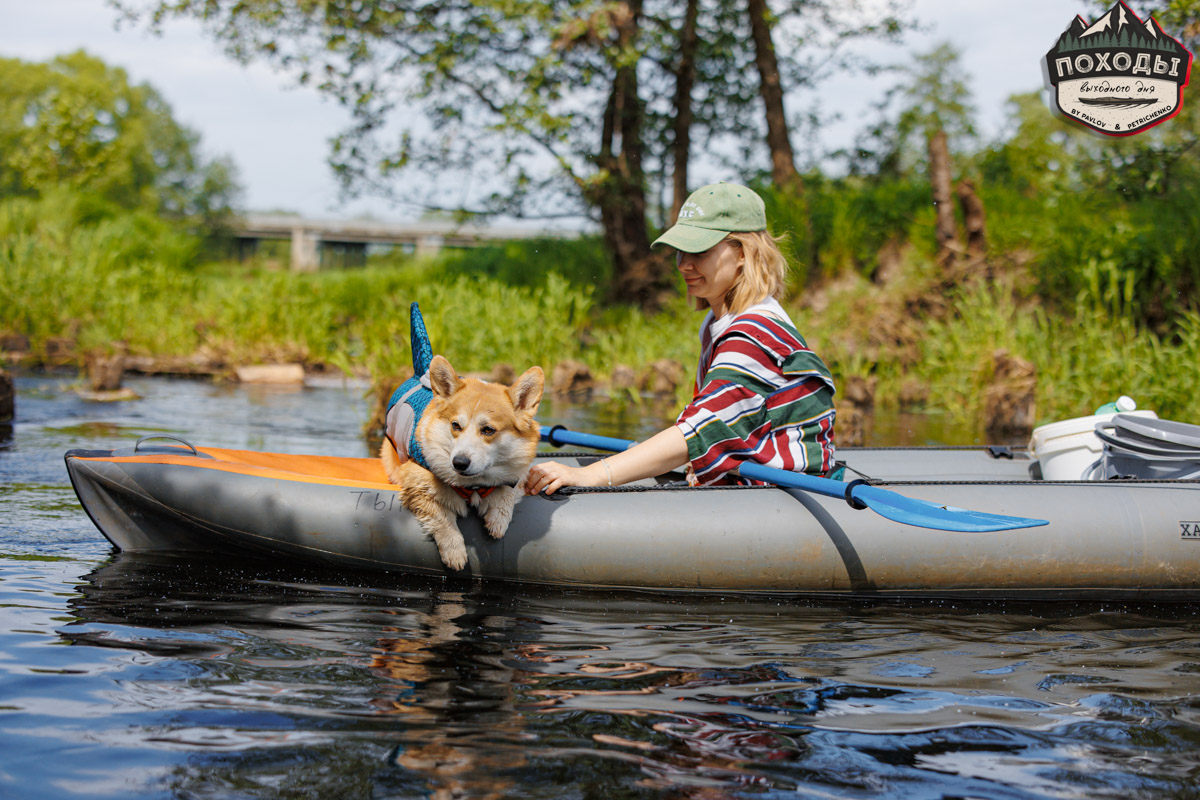 Не зря говорят: собака — лучший компаньон. С ней даже на байдарке можно сплавиться. Проверено! Убедились в этом в прошлое воскресенье владельцы мохнатых штурманов, отправившись с ними в путешествие по реке Судогде. Массу ярких фотографий и подробности милейшего события ищите в статье «Ключ-Медиа».