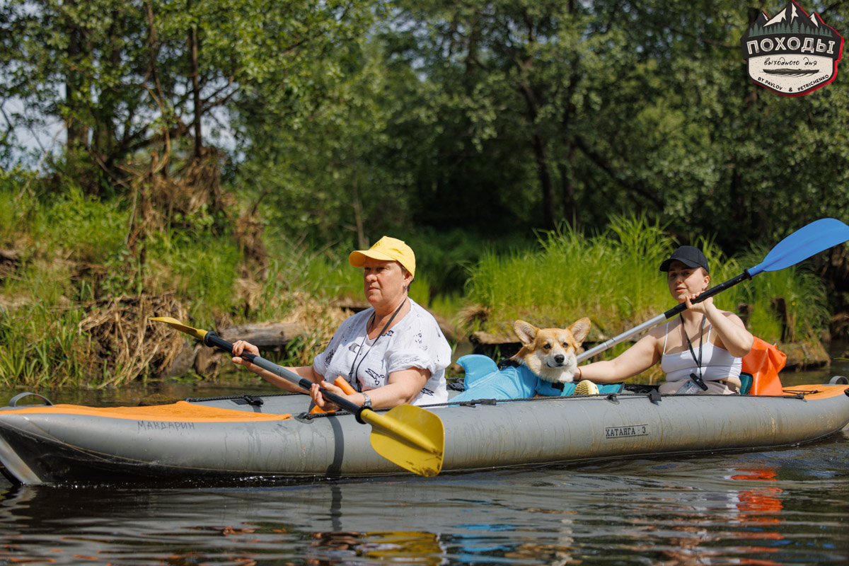 Не зря говорят: собака — лучший компаньон. С ней даже на байдарке можно сплавиться. Проверено! Убедились в этом в прошлое воскресенье владельцы мохнатых штурманов, отправившись с ними в путешествие по реке Судогде. Массу ярких фотографий и подробности милейшего события ищите в статье «Ключ-Медиа».