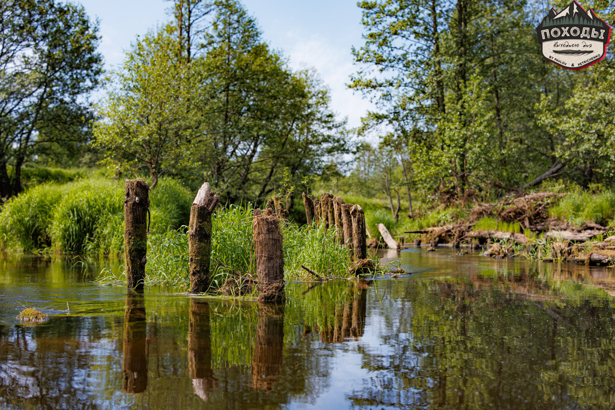 Не зря говорят: собака — лучший компаньон. С ней даже на байдарке можно сплавиться. Проверено! Убедились в этом в прошлое воскресенье владельцы мохнатых штурманов, отправившись с ними в путешествие по реке Судогде. Массу ярких фотографий и подробности милейшего события ищите в статье «Ключ-Медиа».