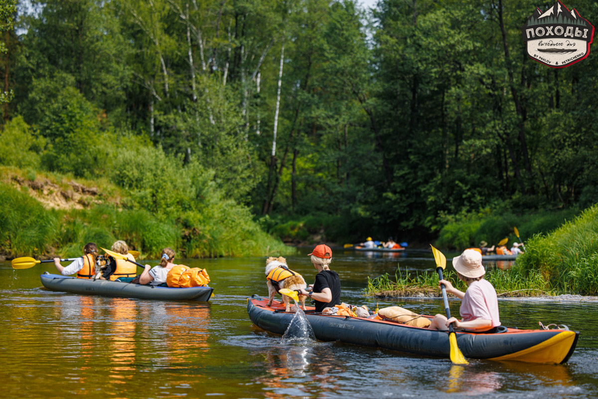 Не зря говорят: собака — лучший компаньон. С ней даже на байдарке можно сплавиться. Проверено! Убедились в этом в прошлое воскресенье владельцы мохнатых штурманов, отправившись с ними в путешествие по реке Судогде. Массу ярких фотографий и подробности милейшего события ищите в статье «Ключ-Медиа».