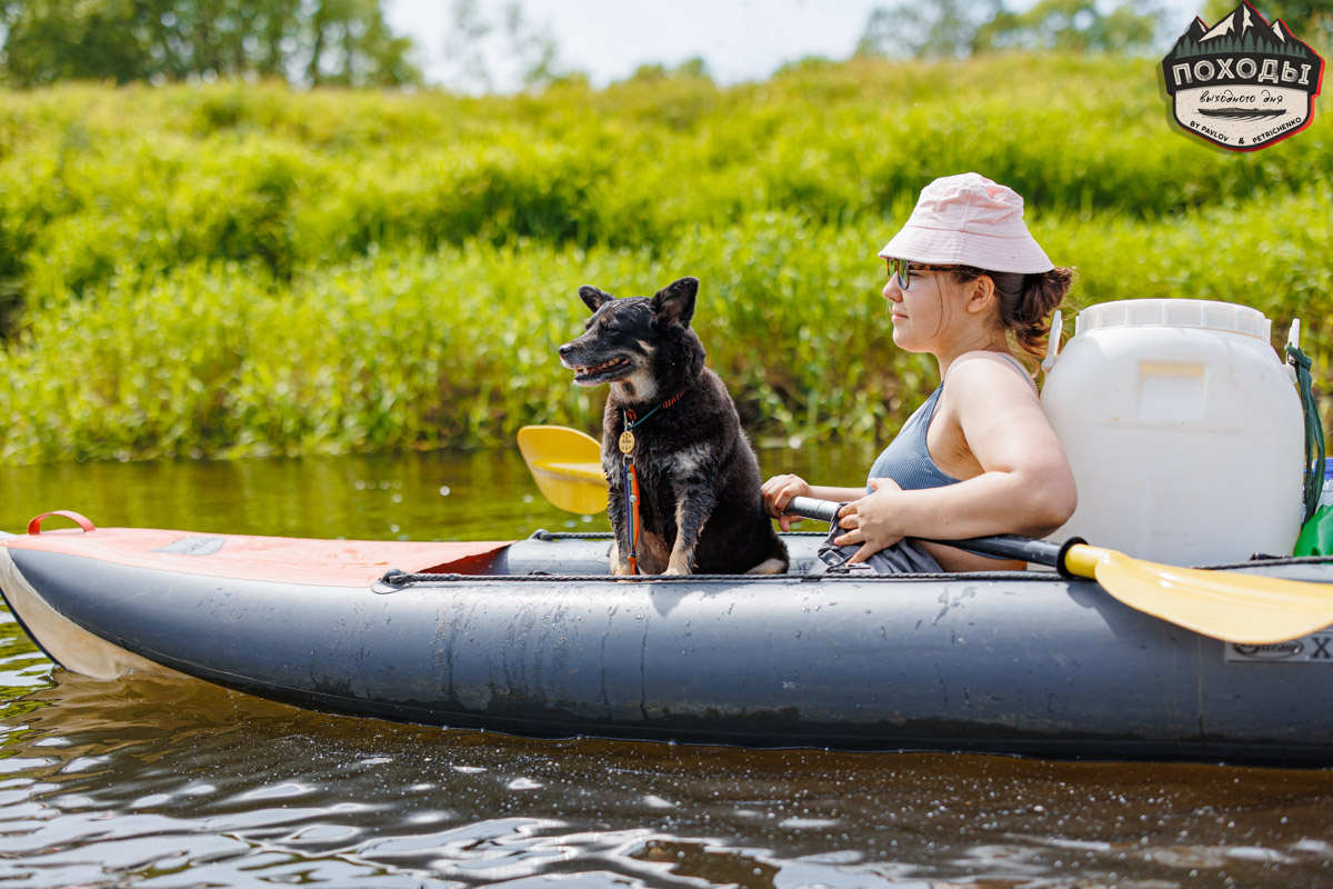 Не зря говорят: собака — лучший компаньон. С ней даже на байдарке можно сплавиться. Проверено! Убедились в этом в прошлое воскресенье владельцы мохнатых штурманов, отправившись с ними в путешествие по реке Судогде. Массу ярких фотографий и подробности милейшего события ищите в статье «Ключ-Медиа».