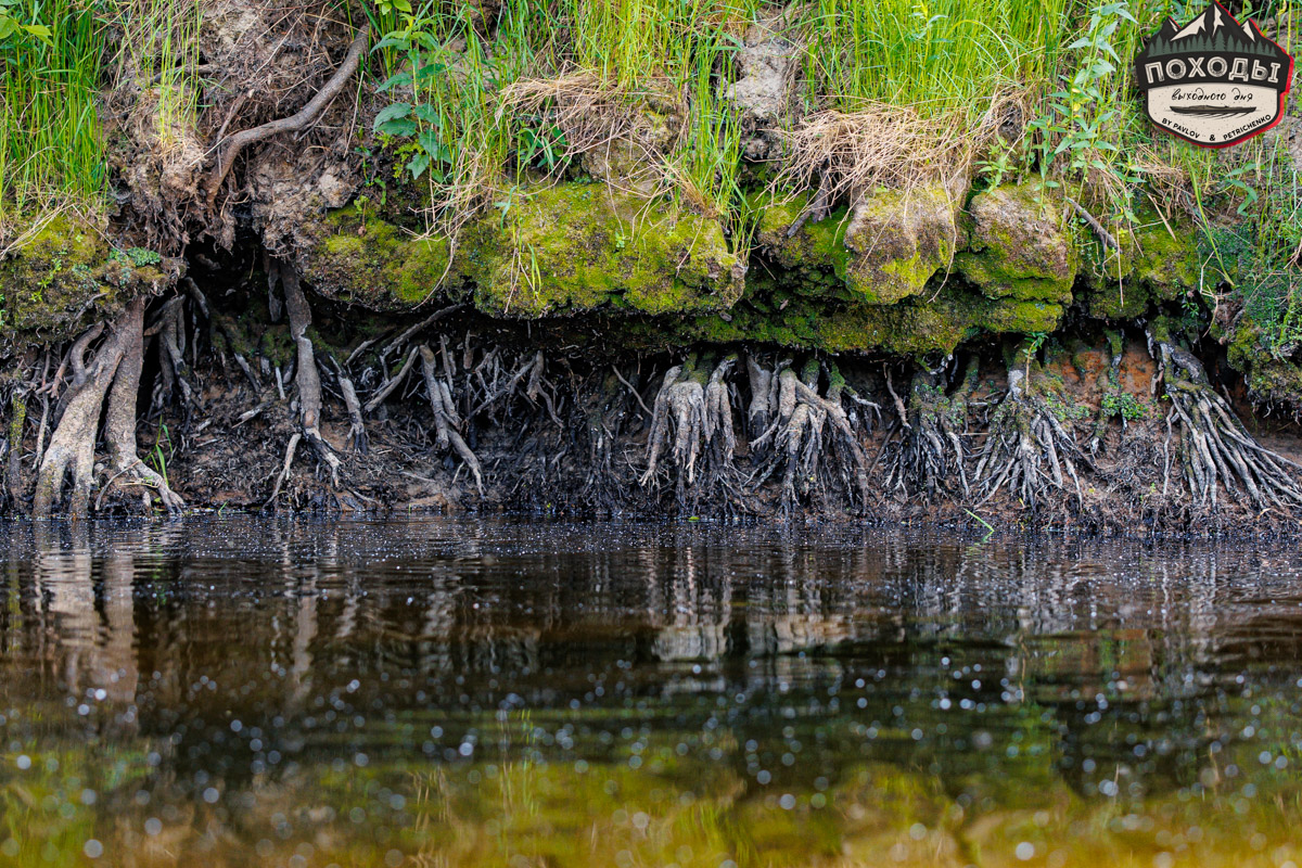 Не зря говорят: собака — лучший компаньон. С ней даже на байдарке можно сплавиться. Проверено! Убедились в этом в прошлое воскресенье владельцы мохнатых штурманов, отправившись с ними в путешествие по реке Судогде. Массу ярких фотографий и подробности милейшего события ищите в статье «Ключ-Медиа».
