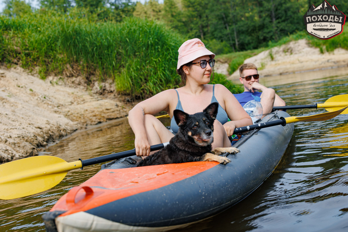 Не зря говорят: собака — лучший компаньон. С ней даже на байдарке можно сплавиться. Проверено! Убедились в этом в прошлое воскресенье владельцы мохнатых штурманов, отправившись с ними в путешествие по реке Судогде. Массу ярких фотографий и подробности милейшего события ищите в статье «Ключ-Медиа».