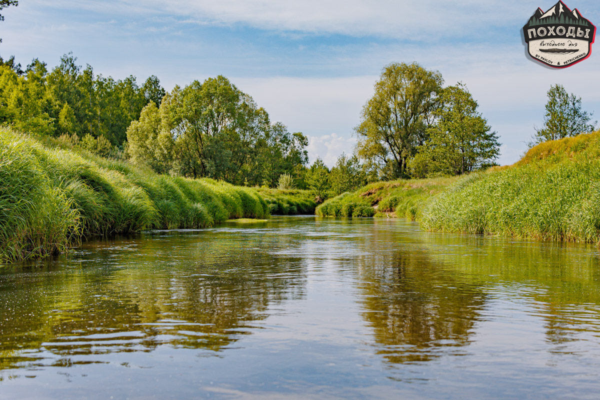 Не зря говорят: собака — лучший компаньон. С ней даже на байдарке можно сплавиться. Проверено! Убедились в этом в прошлое воскресенье владельцы мохнатых штурманов, отправившись с ними в путешествие по реке Судогде. Массу ярких фотографий и подробности милейшего события ищите в статье «Ключ-Медиа».
