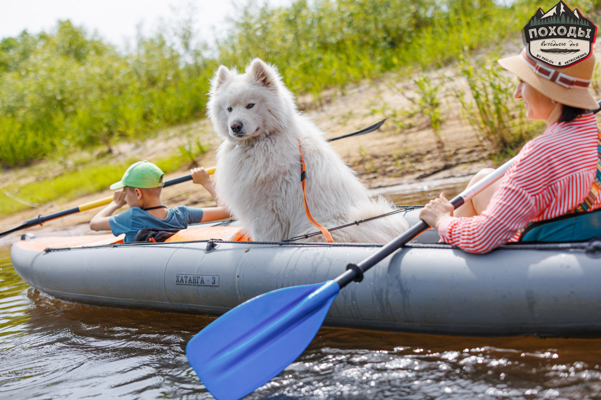 Не зря говорят: собака — лучший компаньон. С ней даже на байдарке можно сплавиться. Проверено! Убедились в этом в прошлое воскресенье владельцы мохнатых штурманов, отправившись с ними в путешествие по реке Судогде. Массу ярких фотографий и подробности милейшего события ищите в статье «Ключ-Медиа».