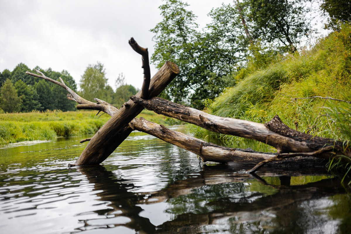 Лето махнуло стартовым флажком, значит, пора предаваться сезонным активностям. В число самых увлекательных по праву входят сплавы на байдарках. Это и ретрит, и физнагрузка, а еще возможность взглянуть на знакомые локации с неожиданного ракурса. Своим личным топом речных красот Владимирской области поделился организатор походов Сергей Петриченко.