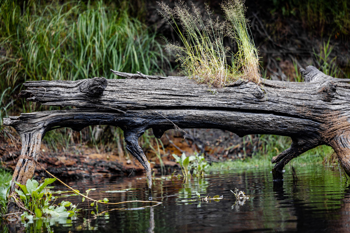 Лето махнуло стартовым флажком, значит, пора предаваться сезонным активностям. В число самых увлекательных по праву входят сплавы на байдарках. Это и ретрит, и физнагрузка, а еще возможность взглянуть на знакомые локации с неожиданного ракурса. Своим личным топом речных красот Владимирской области поделился организатор походов Сергей Петриченко.