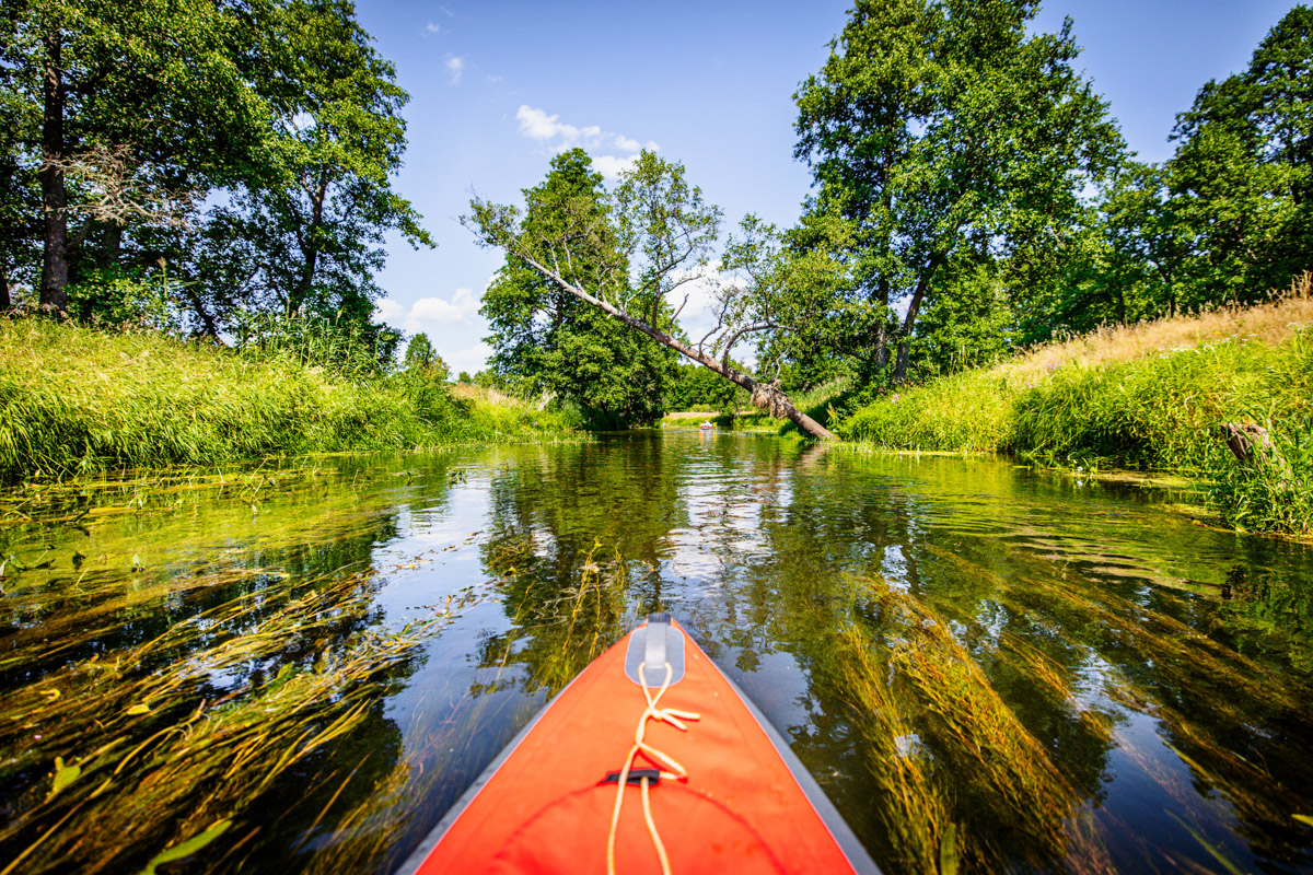 Лето махнуло стартовым флажком, значит, пора предаваться сезонным активностям. В число самых увлекательных по праву входят сплавы на байдарках. Это и ретрит, и физнагрузка, а еще возможность взглянуть на знакомые локации с неожиданного ракурса. Своим личным топом речных красот Владимирской области поделился организатор походов Сергей Петриченко.