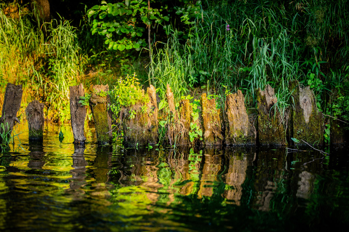Лето махнуло стартовым флажком, значит, пора предаваться сезонным активностям. В число самых увлекательных по праву входят сплавы на байдарках. Это и ретрит, и физнагрузка, а еще возможность взглянуть на знакомые локации с неожиданного ракурса. Своим личным топом речных красот Владимирской области поделился организатор походов Сергей Петриченко.