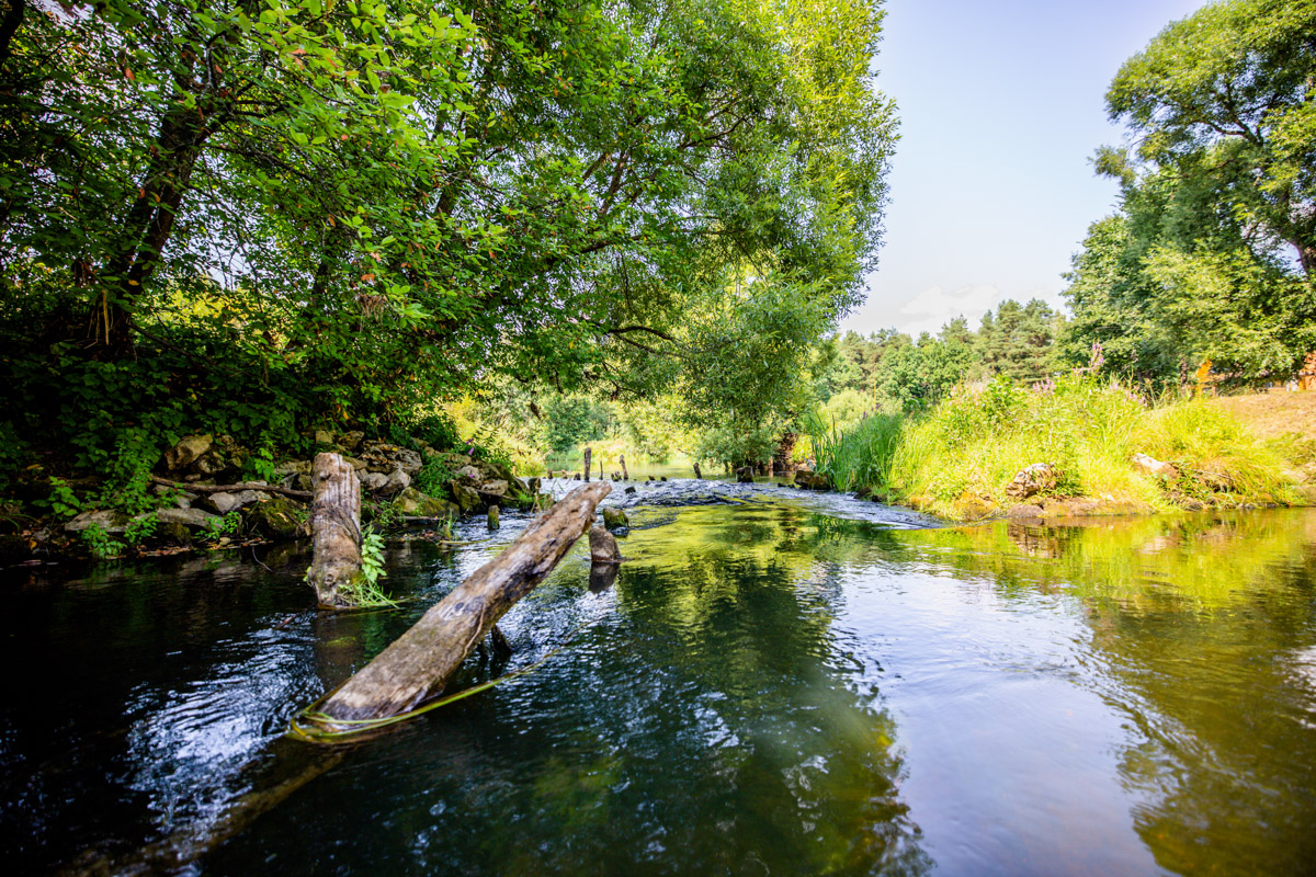 Лето махнуло стартовым флажком, значит, пора предаваться сезонным активностям. В число самых увлекательных по праву входят сплавы на байдарках. Это и ретрит, и физнагрузка, а еще возможность взглянуть на знакомые локации с неожиданного ракурса. Своим личным топом речных красот Владимирской области поделился организатор походов Сергей Петриченко.