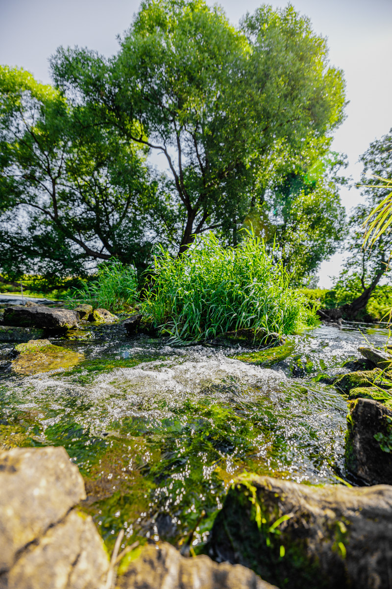 Лето махнуло стартовым флажком, значит, пора предаваться сезонным активностям. В число самых увлекательных по праву входят сплавы на байдарках. Это и ретрит, и физнагрузка, а еще возможность взглянуть на знакомые локации с неожиданного ракурса. Своим личным топом речных красот Владимирской области поделился организатор походов Сергей Петриченко.