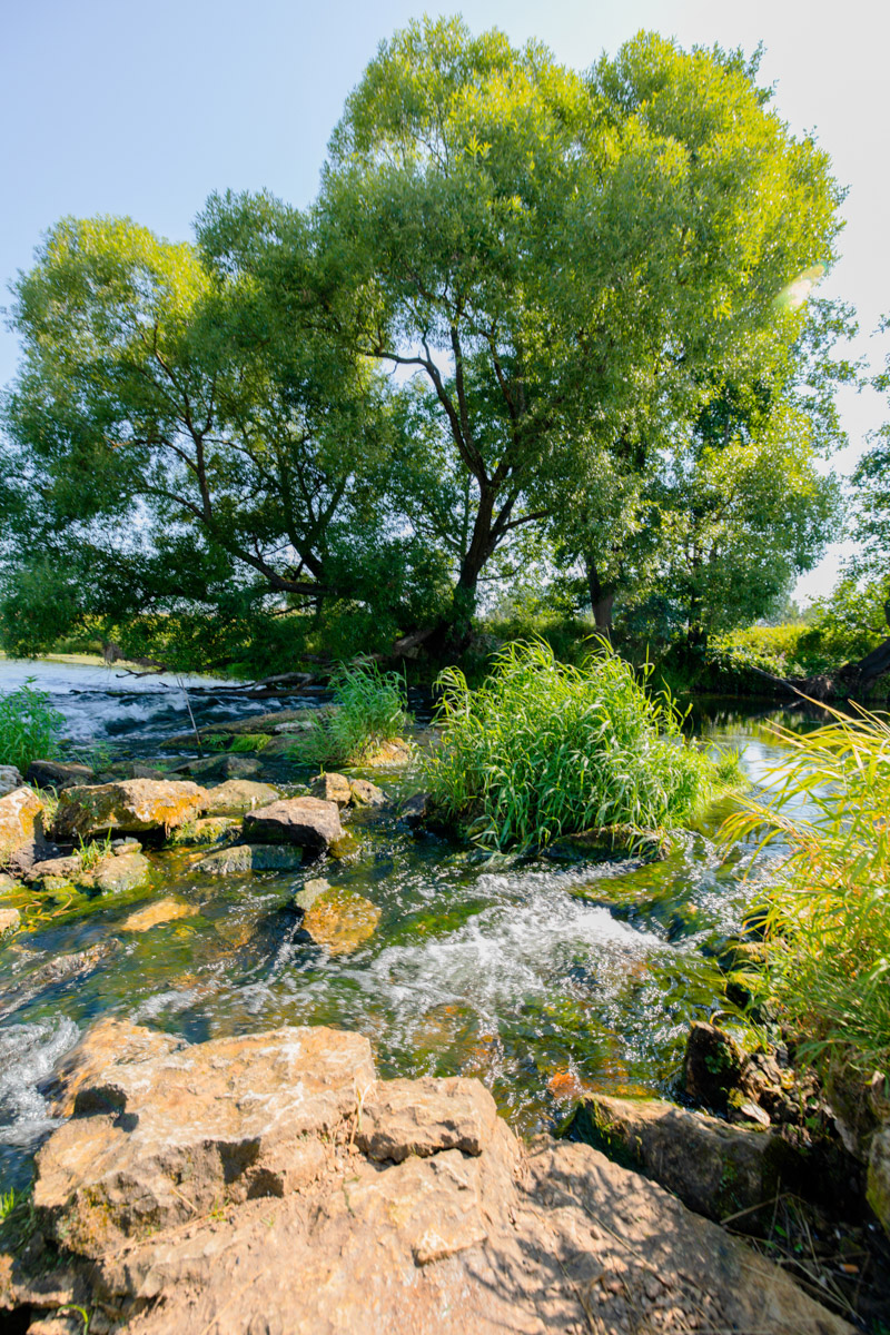 Лето махнуло стартовым флажком, значит, пора предаваться сезонным активностям. В число самых увлекательных по праву входят сплавы на байдарках. Это и ретрит, и физнагрузка, а еще возможность взглянуть на знакомые локации с неожиданного ракурса. Своим личным топом речных красот Владимирской области поделился организатор походов Сергей Петриченко.