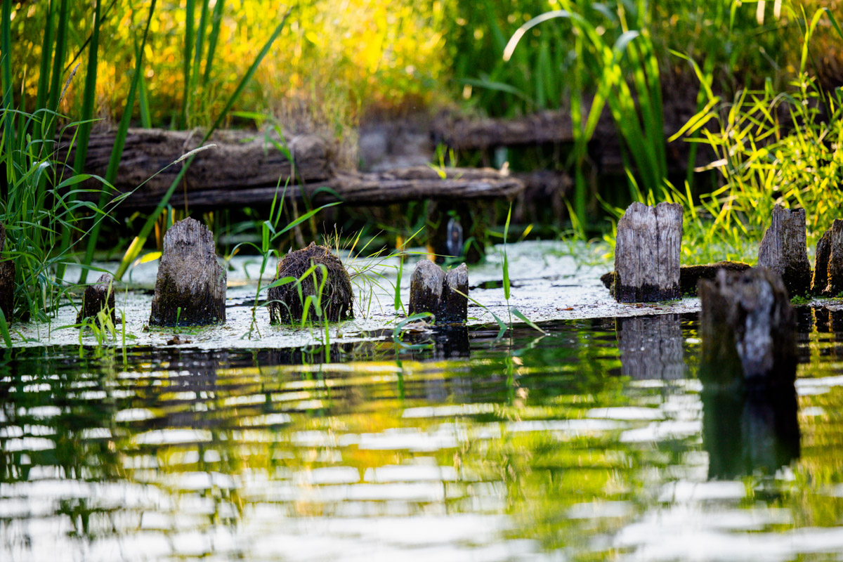 Лето махнуло стартовым флажком, значит, пора предаваться сезонным активностям. В число самых увлекательных по праву входят сплавы на байдарках. Это и ретрит, и физнагрузка, а еще возможность взглянуть на знакомые локации с неожиданного ракурса. Своим личным топом речных красот Владимирской области поделился организатор походов Сергей Петриченко.
