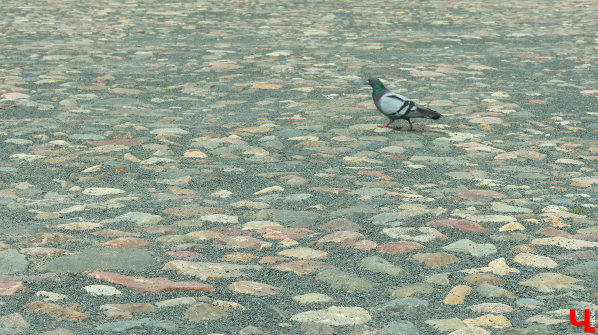 Суздаль продолжает готовиться к тысячелетнему юбилею. Планов по благоустройству много, а вот довольных их выполнением все меньше. Например, жители и гости древнего города обеспокоены реставрацией знаменитой булыжной мостовой. Что еще изменилось в «музее под открытым небом» за последнее время — ищите в нашем материале.