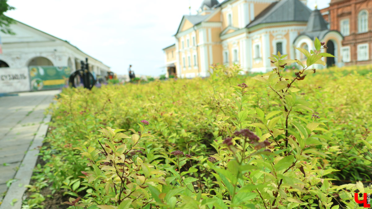 Суздаль продолжает готовиться к тысячелетнему юбилею. Планов по благоустройству много, а вот довольных их выполнением все меньше. Например, жители и гости древнего города обеспокоены реставрацией знаменитой булыжной мостовой. Что еще изменилось в «музее под открытым небом» за последнее время — ищите в нашем материале.