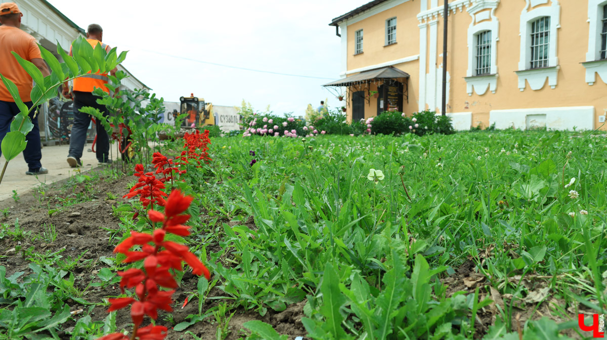 Суздаль продолжает готовиться к тысячелетнему юбилею. Планов по благоустройству много, а вот довольных их выполнением все меньше. Например, жители и гости древнего города обеспокоены реставрацией знаменитой булыжной мостовой. Что еще изменилось в «музее под открытым небом» за последнее время — ищите в нашем материале.