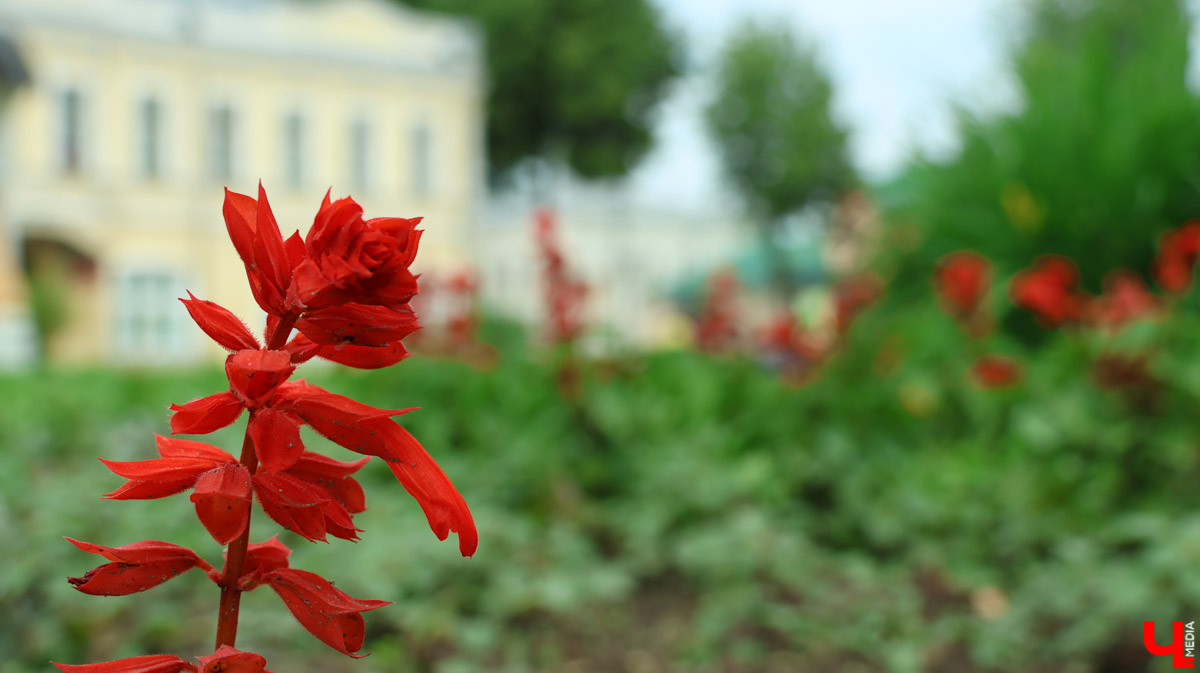 Суздаль продолжает готовиться к тысячелетнему юбилею. Планов по благоустройству много, а вот довольных их выполнением все меньше. Например, жители и гости древнего города обеспокоены реставрацией знаменитой булыжной мостовой. Что еще изменилось в «музее под открытым небом» за последнее время — ищите в нашем материале.