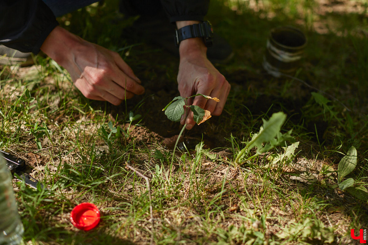 Чем вы занимаетесь в свободное время? Вот, например, Дмитрий Петров из Владимира колесит по региону на велосипеде и сажает дубы. И так уже 15 лет! За эти годы занятие ему не надоело, наоборот, каждое деревце для него маленькая победа. Их на счету молодого человека более трех сотен.