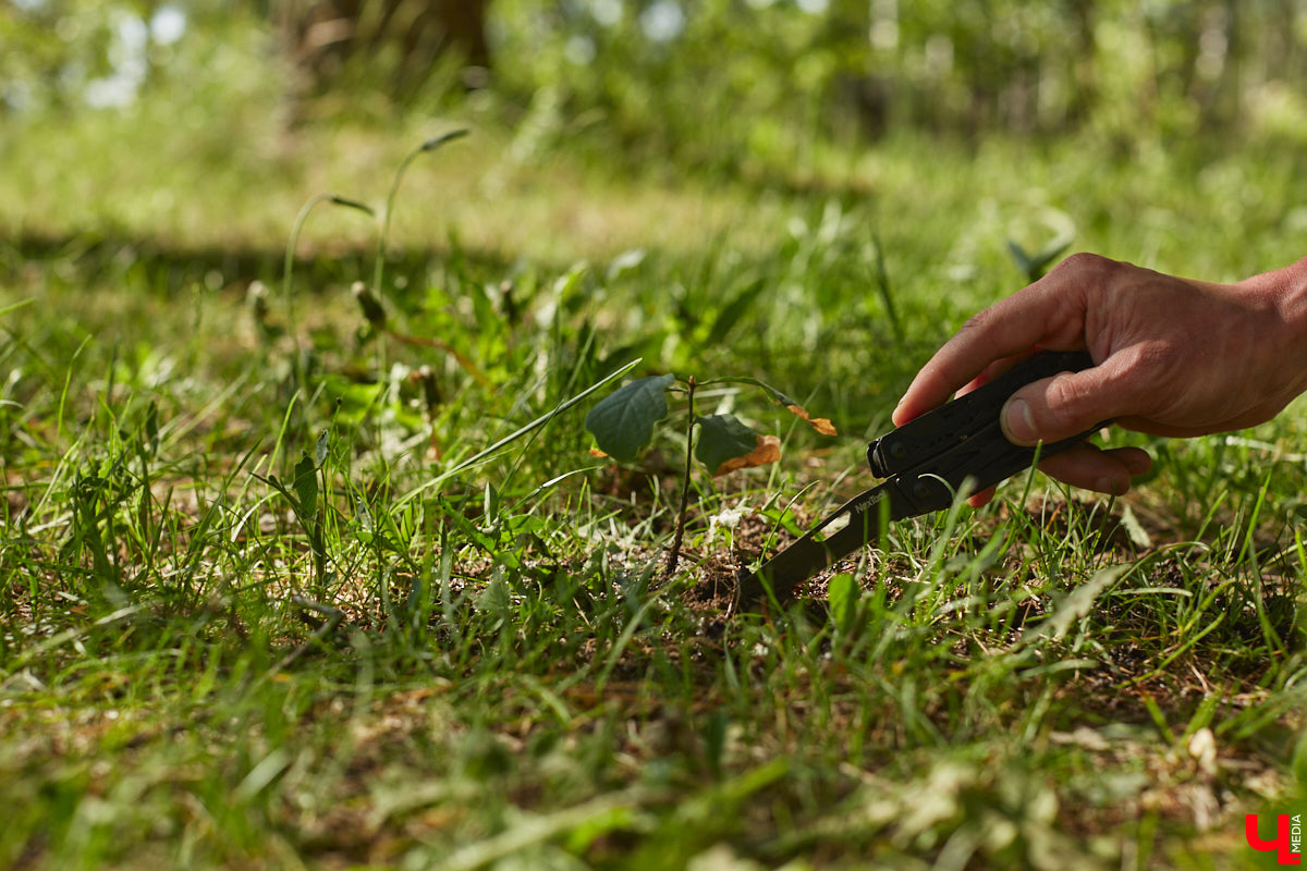Чем вы занимаетесь в свободное время? Вот, например, Дмитрий Петров из Владимира колесит по региону на велосипеде и сажает дубы. И так уже 15 лет! За эти годы занятие ему не надоело, наоборот, каждое деревце для него маленькая победа. Их на счету молодого человека более трех сотен.