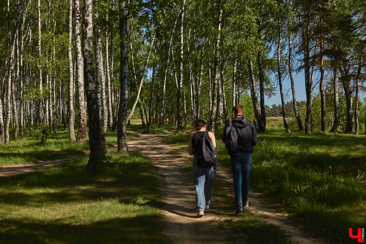 Чем вы занимаетесь в свободное время? Вот, например, Дмитрий Петров из Владимира колесит по региону на велосипеде и сажает дубы. И так уже 15 лет! За эти годы занятие ему не надоело, наоборот, каждое деревце для него маленькая победа. Их на счету молодого человека более трех сотен.
