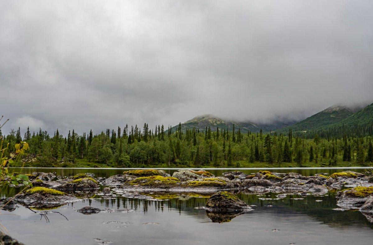 Андрей Дубровский всегда привозит из экспедиций целый рюкзак впечатлений. Почти за 10 лет странствий владимирский журналист накопил массу репортажей, которые в итоге перенес на страницы книги. Сейчас его нон-фикшн «Нешелковый путь», изданный «Эксмо», можно найти на двух крупных платформах. Что в нем интересного, новоиспеченный писатель рассказал «Ключ-Медиа».