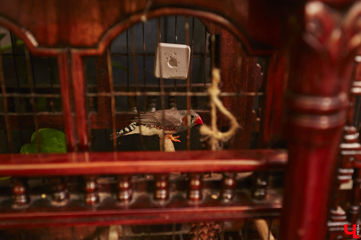 Девять лет назад Светлана Аркадьева зарегистрировала свою фирму, оказывающую комплексные услуги по решению бизнес-задач. О развитии своего дела, личностном росте, помощи людям и детских мечтах, претворенных в жизнь, «Ключ-Медиа» расспросил успешную бизнес-леди на встрече за чашечкой чая.