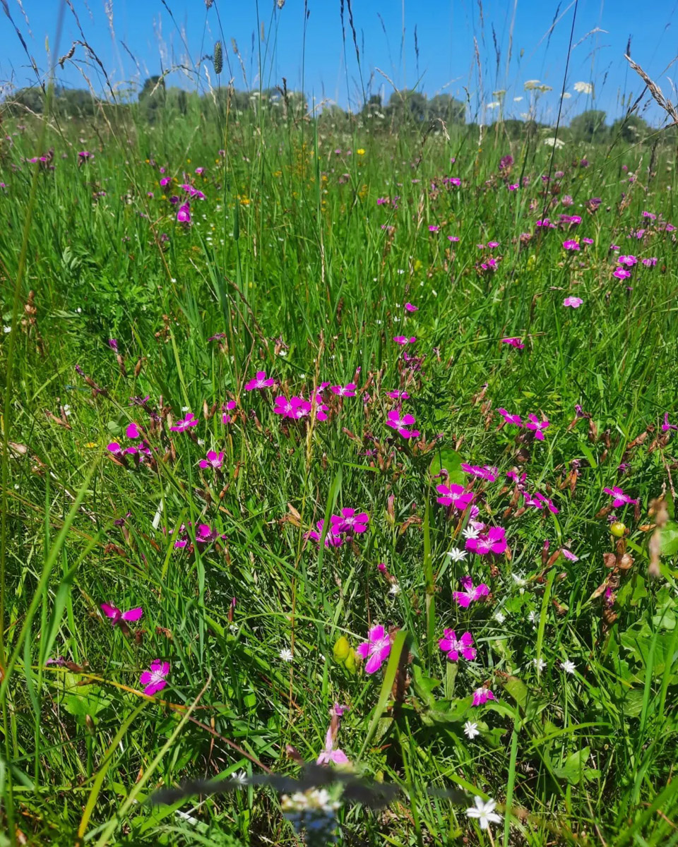 Во Владимирской области планируют снимать еще один фильм, на этот раз историческую картину про эпоху князя Боголюбского. Группа будет работать в Суздальском районе и Юрьеве-Польском. На время съемок для посещения закроют некоторые храмы и соборы, а также историко-ландшафтный комплекс «Боголюбовский луг».