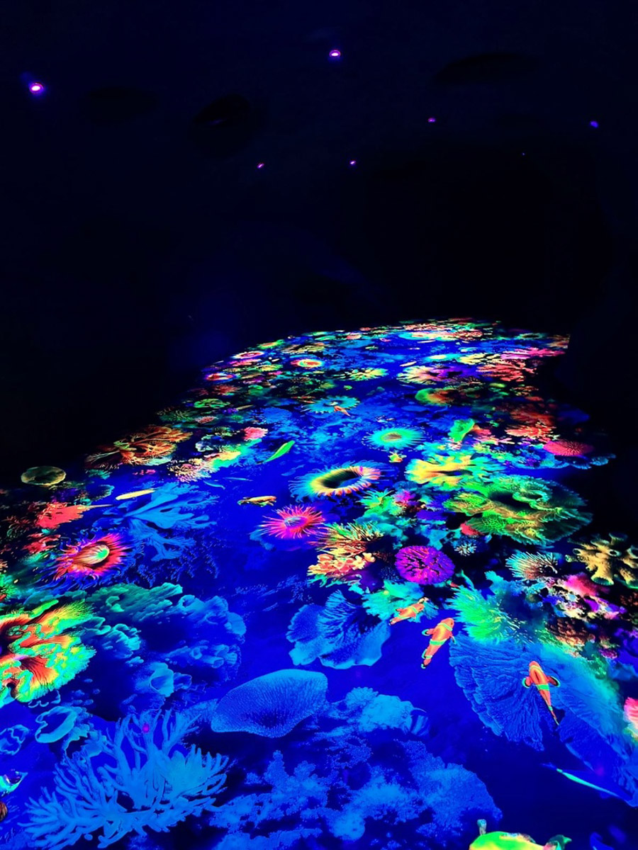 Скоро жители и туристы 33-го региона смогут насладиться целым спектром водных развлечений в рамках одного комплекса. Да, открытие аквапарка в Суздале не за горами. Состоится ли оно в августе и как выглядит популярная в будущем локация, узнал «Ключ-Медиа».