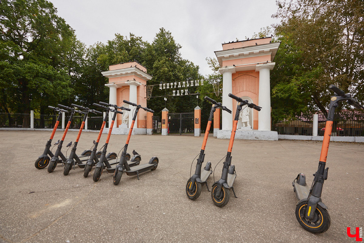 Массовая вырубка деревьев превращает областной центр в локацию из вселенной Mad Max. Воспрепятствовать появлению пустоши на месте цветущего города решили владимирские урбанисты. В чем заключается суть их нового проекта по увеличению зеленого фонда и кто может принять в нем участие, выяснил «Ключ-Медиа».