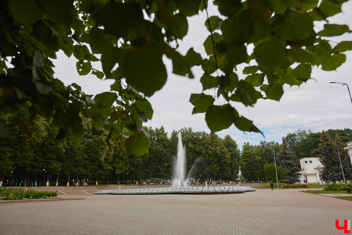 Массовая вырубка деревьев превращает областной центр в локацию из вселенной Mad Max. Воспрепятствовать появлению пустоши на месте цветущего города решили владимирские урбанисты. В чем заключается суть их нового проекта по увеличению зеленого фонда и кто может принять в нем участие, выяснил «Ключ-Медиа».