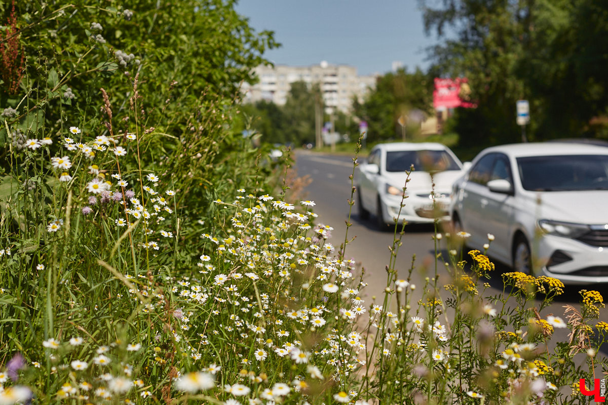 На оживленном перекрестке Владимира появился еще один светофор. Движение транспорта регулируют на пересечении улиц Юбилейной и Жуковского. Устройство поставили по просьбе жителей города после того, как на Рпенском проезде открыли движение. При этом парковать машины на Юбилейной теперь нельзя.