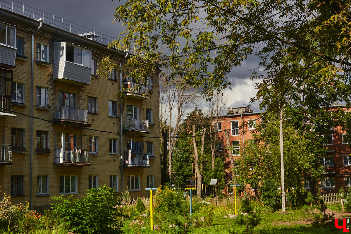 Владимир становится все менее зеленым, и даже цветники с топиарными фигурами его не спасают. Город наводнили сухие деревья мрачного вида, а многие скверы превратились в пустыри. Что делать с этой атмосферой постапа и почему она возникла, «Ключ-Медиа» рассказал биолог Максим Гринаш.