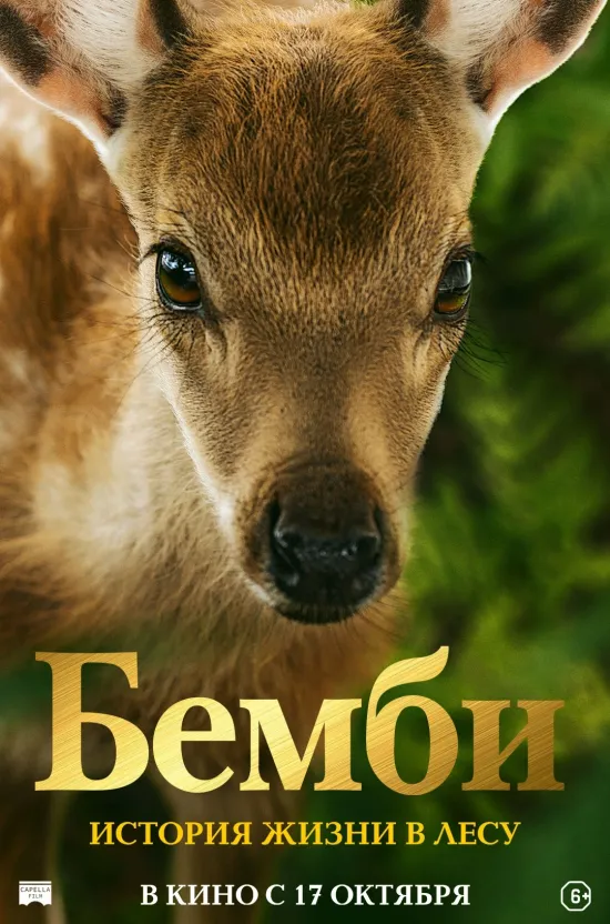 В воскресенье во Владимир приезжает певица Слава. Каждый концерт убеждает зрителя в невероятной многогранности ее творчества: она умеет смешить, получать удовольствие от жизни и зажигать на своем шоу, но при этом глубоко чувствовать и разделять боль, по-настоящему раскрывая свою душу.