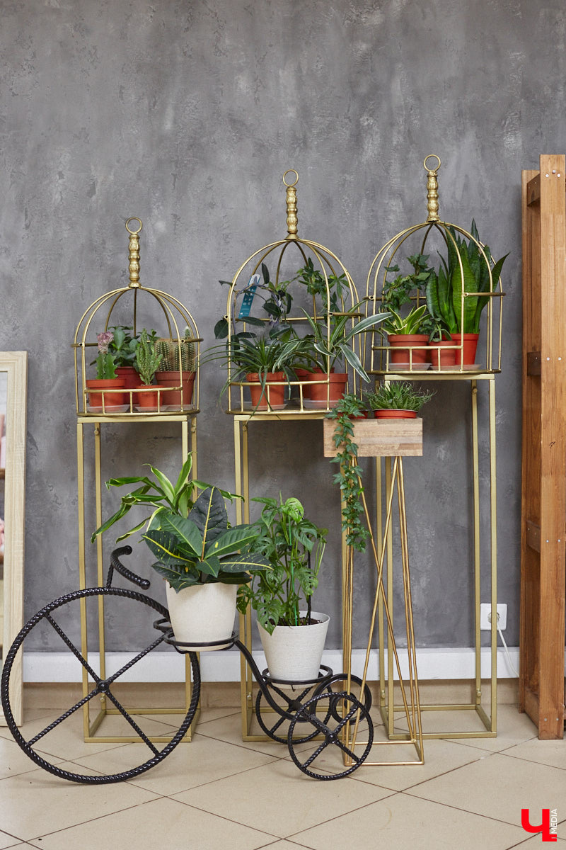 Сусанна Аванесян, основатель студии цветов и декора праздника, рассказала «Ключ-Медиа» об особенностях бизнеса с акцентом, моде на букеты и воздушные шары. Также она поведала о неписаных правилах вручения подарков и детских торжествах, определяющих судьбу ребенка.